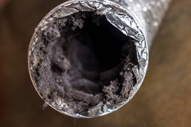 Best Residential Air Duct Cleaning  in South Duxbury, MA